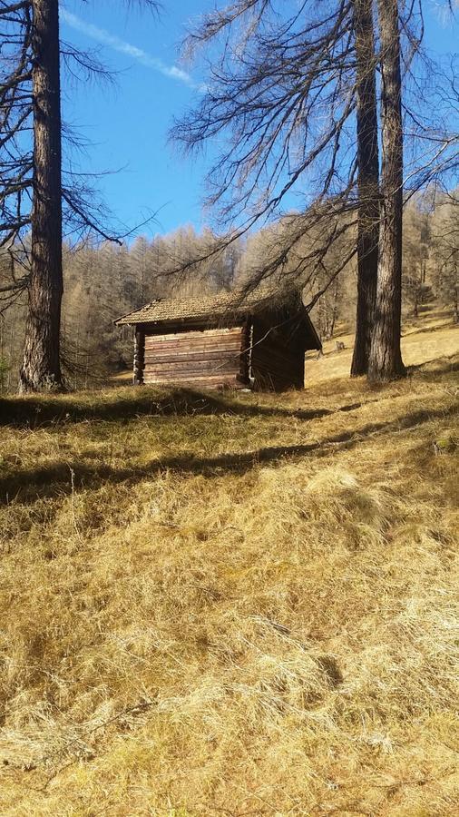 Gasthaus Vinaders Gries Eksteriør billede